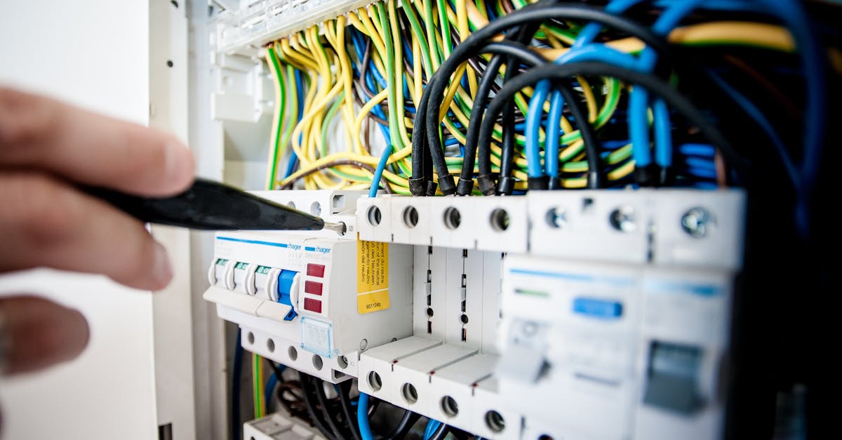 Cost-Effective Lighting Options for Startups and Small Businesses